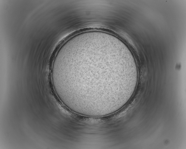 X0000097610831200803141937