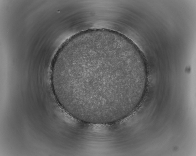 X0000097610832200803141937