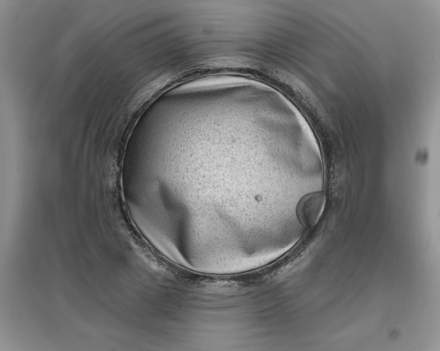 X0000097610833200803141937