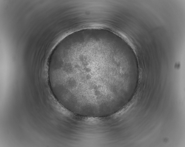 X0000097610835200803141937