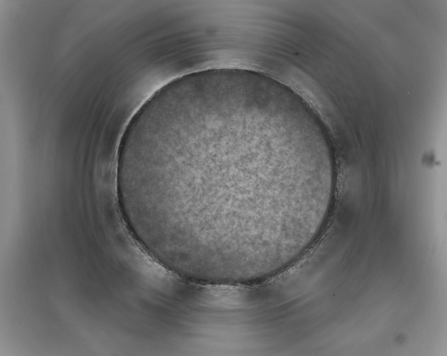 X0000097610836200803141937