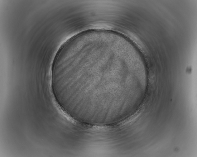 X0000097610840200803141937