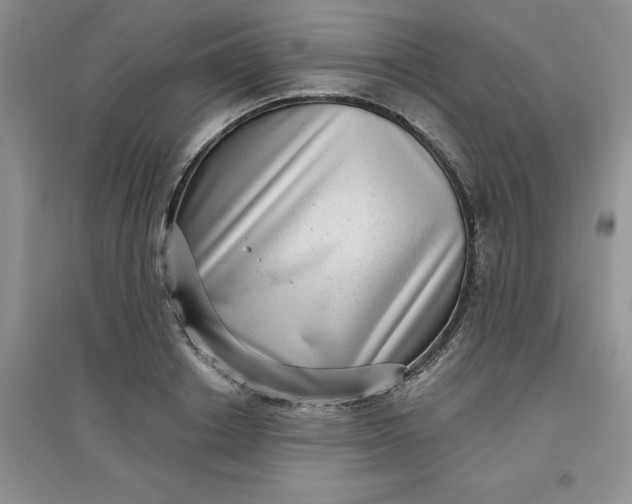 X0000097610842200803141937