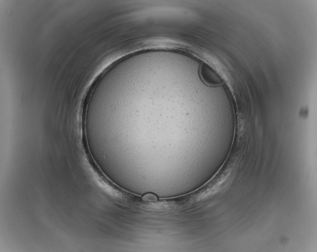 X0000097610843200803141937