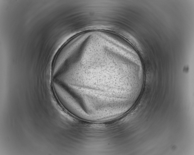 X0000097610844200803141937