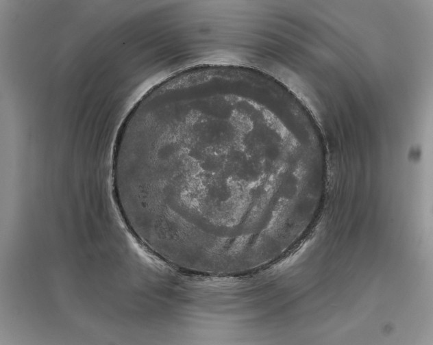 X0000097610845200803141937