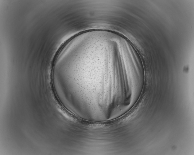 X0000097610846200803141937