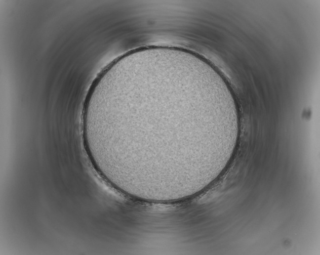 X0000097610848200803141937