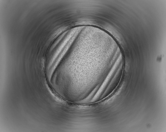 X0000097610849200803141937