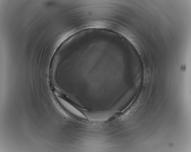 X0000097610850200803141937