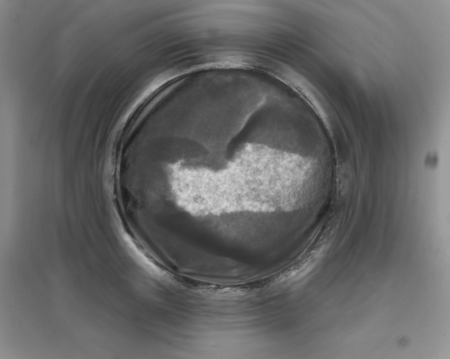 X0000097610851200803141937