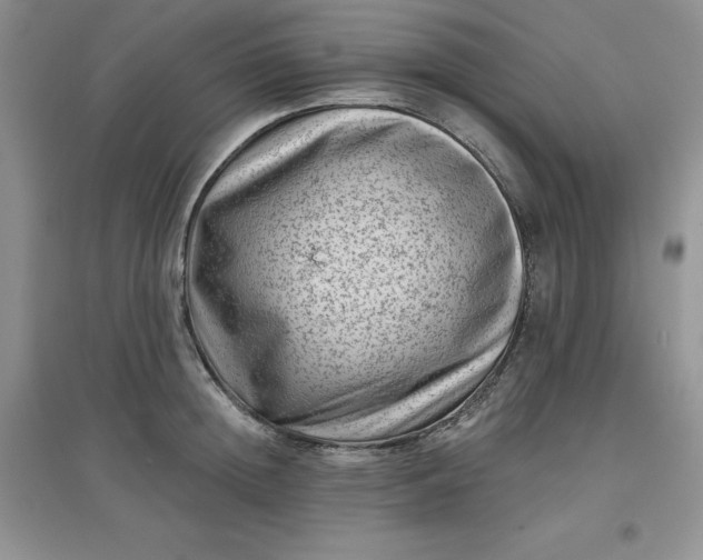 X0000097610852200803141937