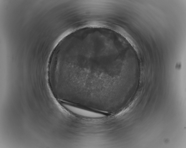 X0000097610853200803141938