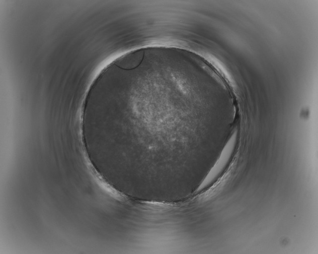 X0000097610854200803141938