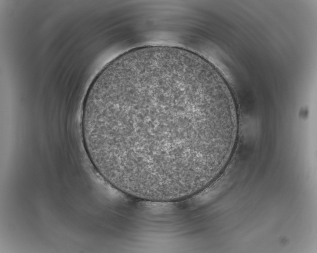 X0000097610856200803141938