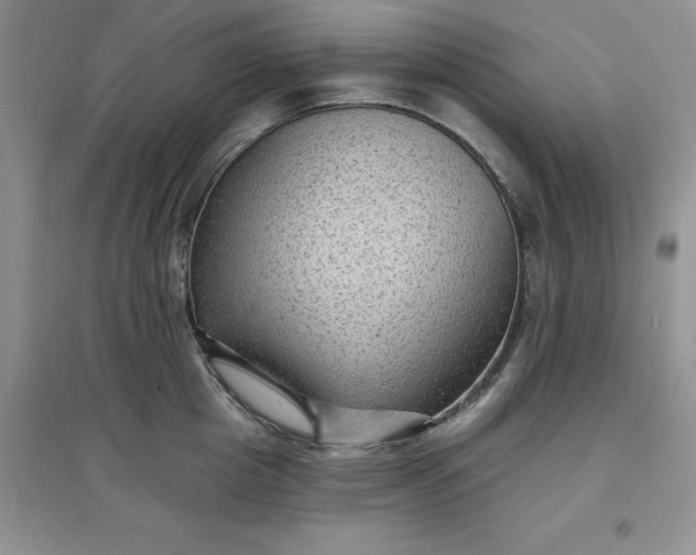 X0000097610857200803141938