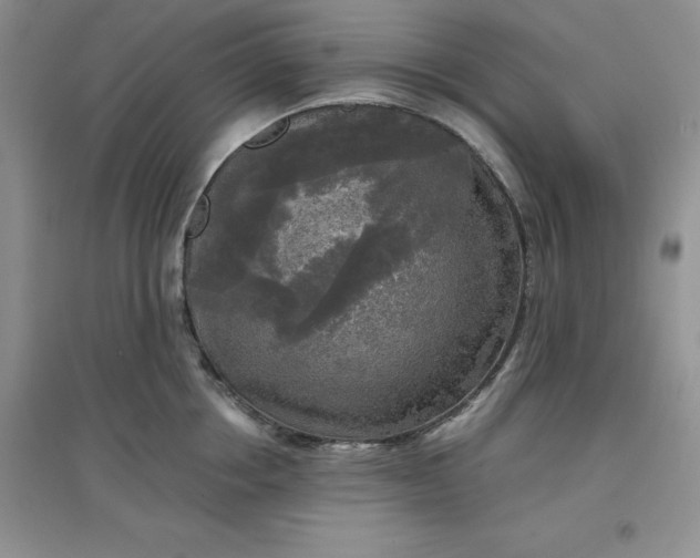 X0000097610858200803141938