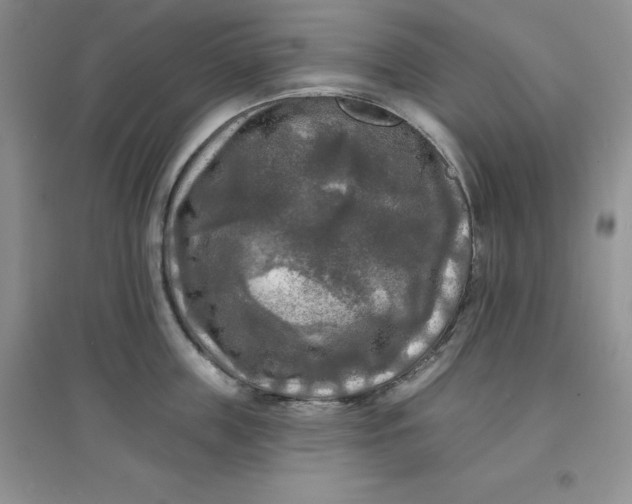 X0000097610859200803141938