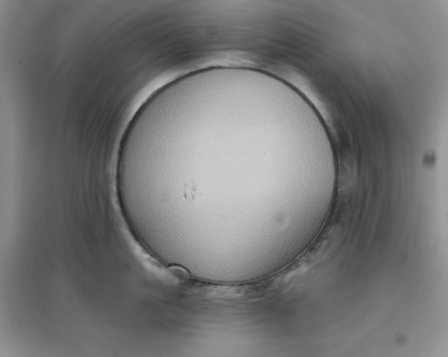 X0000097610861200803141938