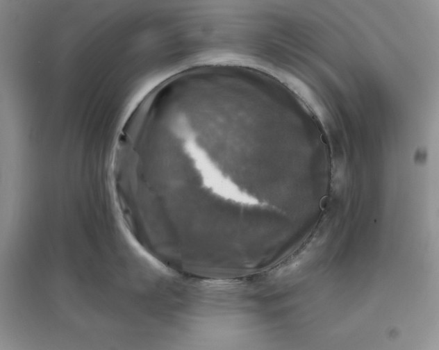 X0000097610863200803141938