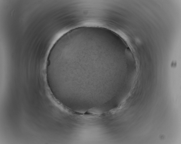 X0000097610864200803141938