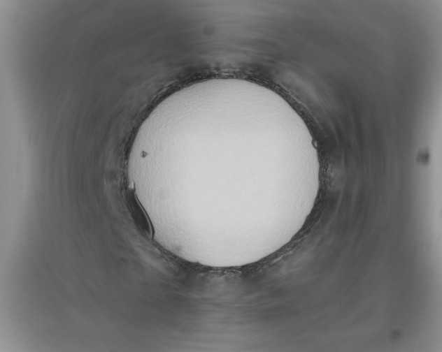 X0000097610865200803141937