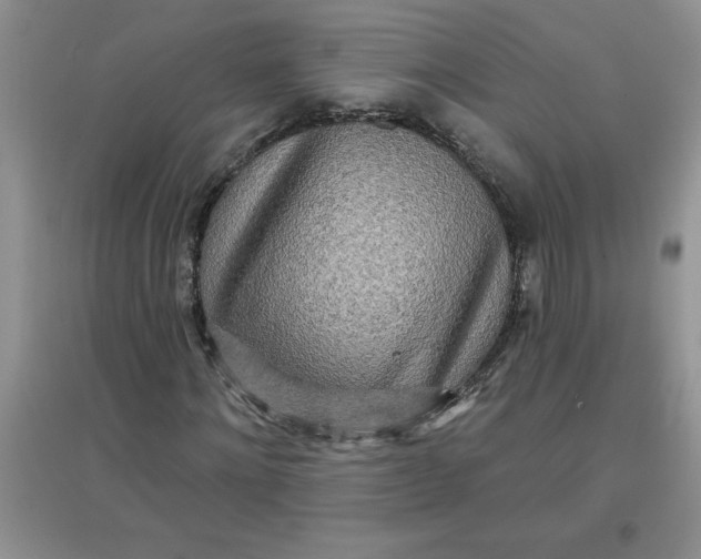 X0000097610868200803141937