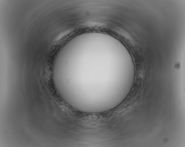 X0000097610869200803141937