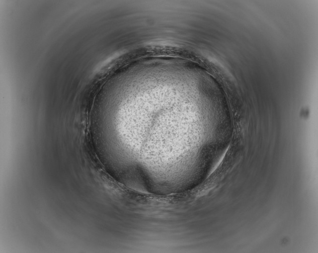 X0000097610870200803141937