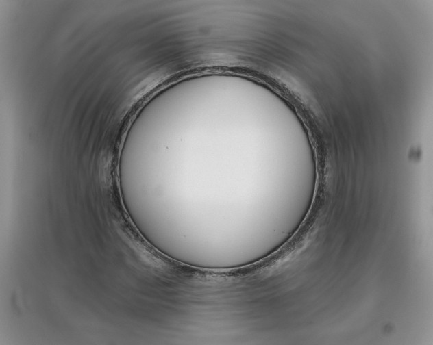 X0000097610873200803141937