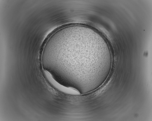 X0000097610875200803141937