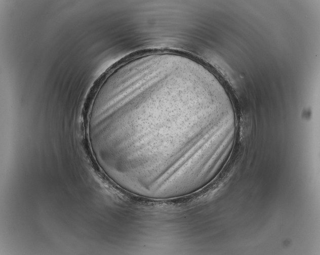 X0000097610876200803141937