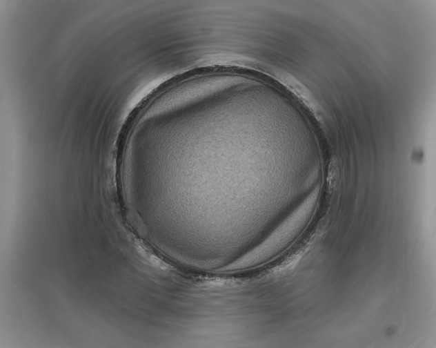 X0000097610877200803141937