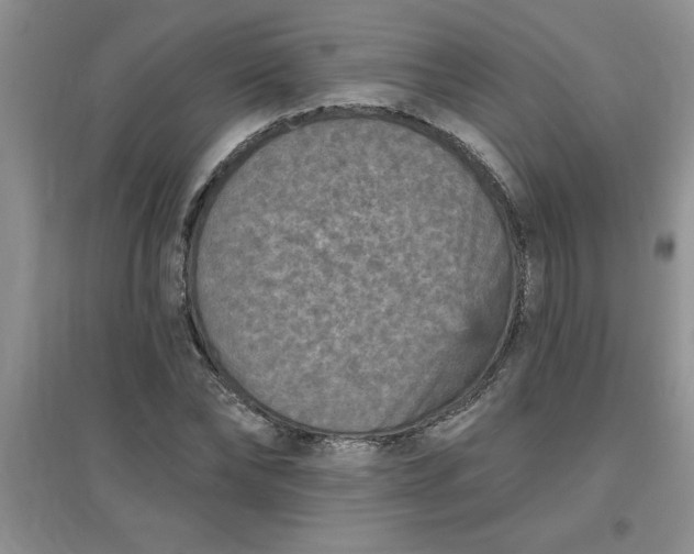 X0000097610878200803141937