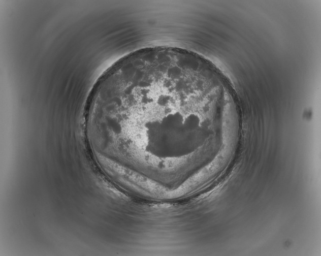 X0000097610879200803141937