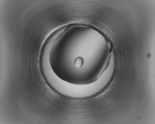 X0000097610880200803141937