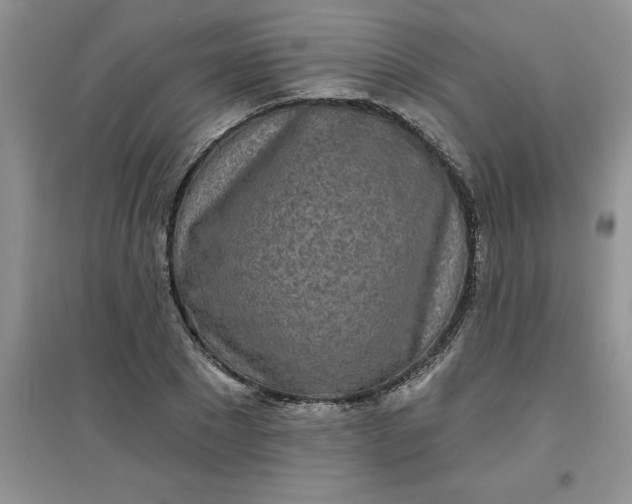 X0000097610881200803141937