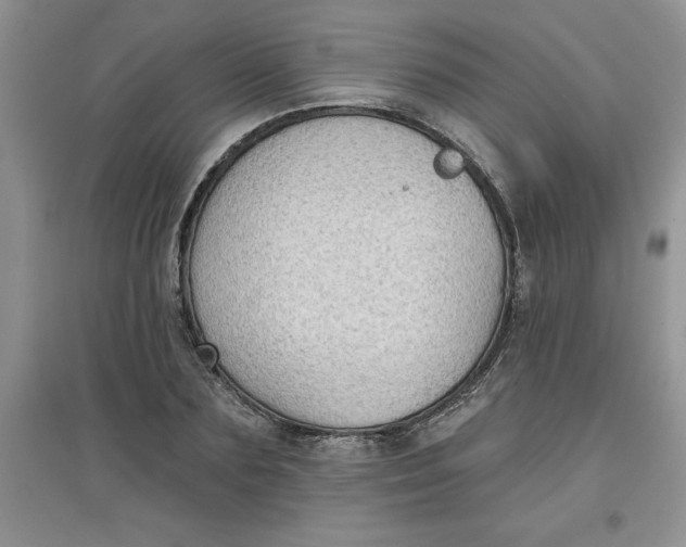 X0000097610883200803141937