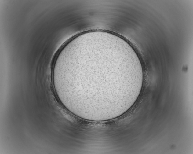 X0000097610886200803141937