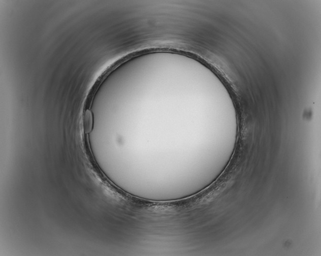 X0000097610888200803141937