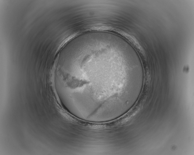 X0000097610889200803141937