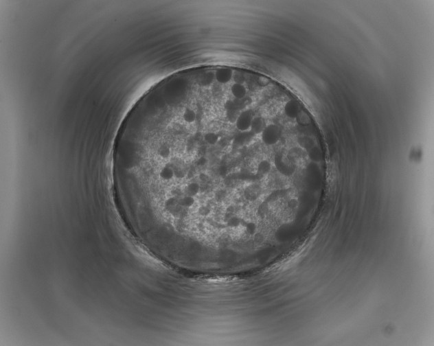 X0000097610891200803141937