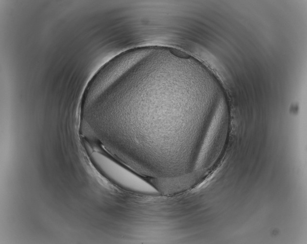 X0000097610892200803141937