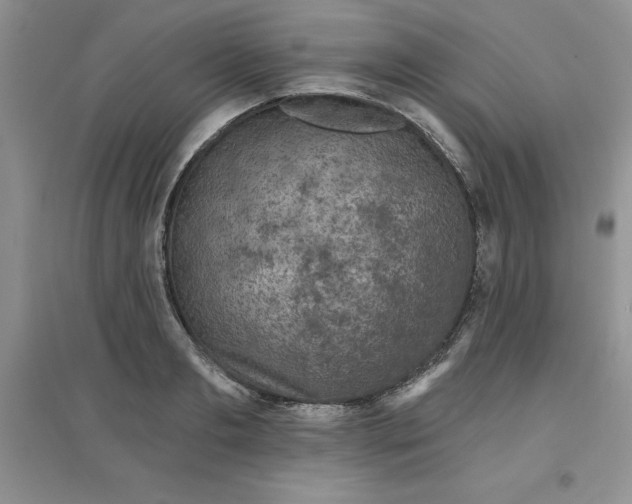 X0000097610893200803141937