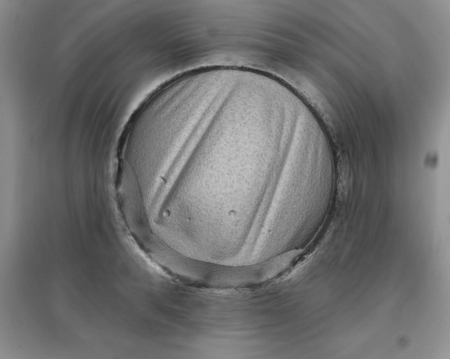 X0000097610896200803141937