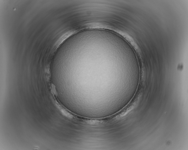 X0000097610897200803141937