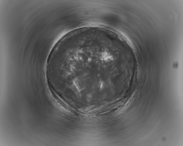 X0000097610899200803141937