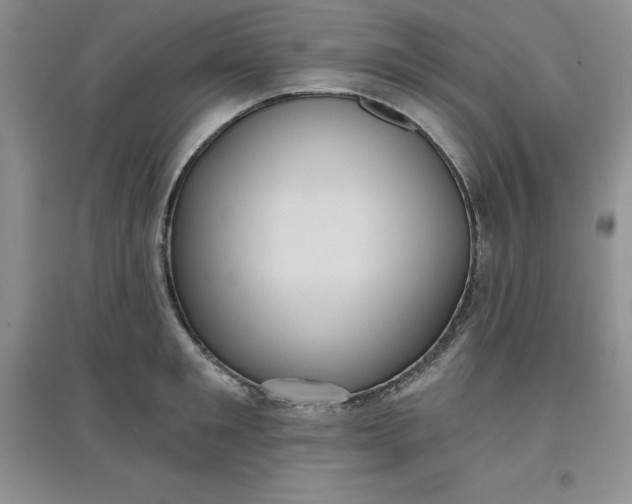 X0000097610901200803141937