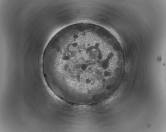 X0000097610903200803141936