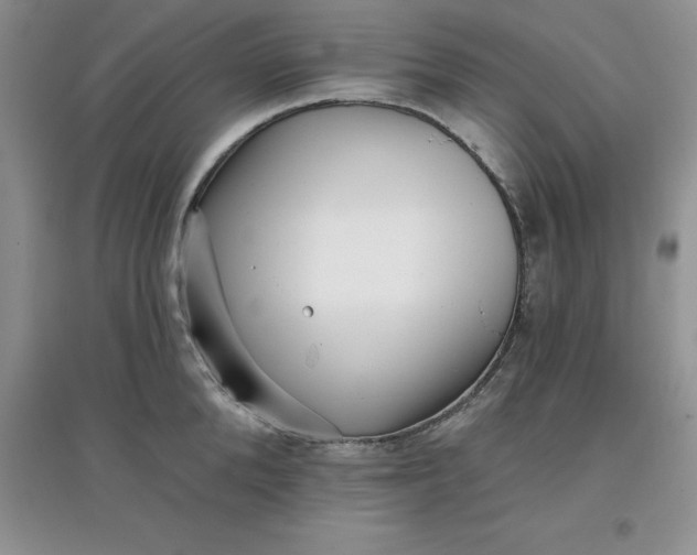 X0000097610904200803141936